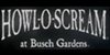 Busch Gardens Tampa Bay Howl-O-Scream